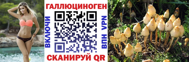 Галлюциногенные грибы GOLDEN TEACHER  закладка  Оханск 